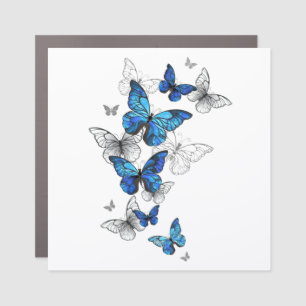Blue Flying Butterflies Morpho Car Magnet