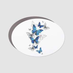 Blue Flying Butterflies Morpho Car Magnet