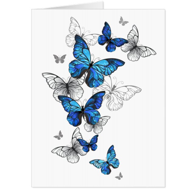 Blue Flying Butterflies Morpho Card (Front)