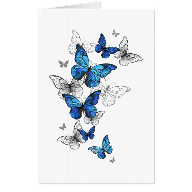 Blue Flying Butterflies Morpho Card (Front)