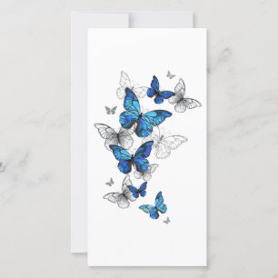 Blue Flying Butterflies Morpho Card