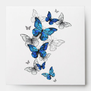 Blue Flying Butterflies Morpho Envelope