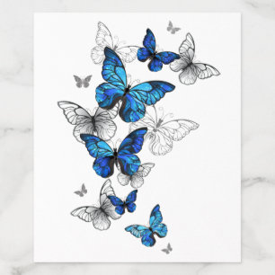 Blue Flying Butterflies Morpho Envelope Liner