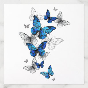 Blue Flying Butterflies Morpho Envelope Liner