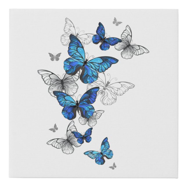 Blue Flying Butterflies Morpho Faux Canvas Print (Front)