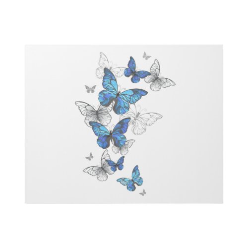 Blue Flying Butterflies Morpho Gallery Wrap