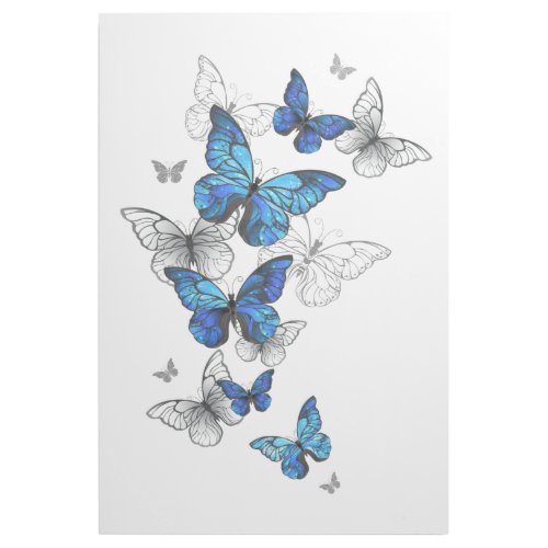Blue Flying Butterflies Morpho Gallery Wrap
