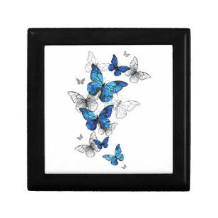 Blue Flying Butterflies Morpho Gift Box
