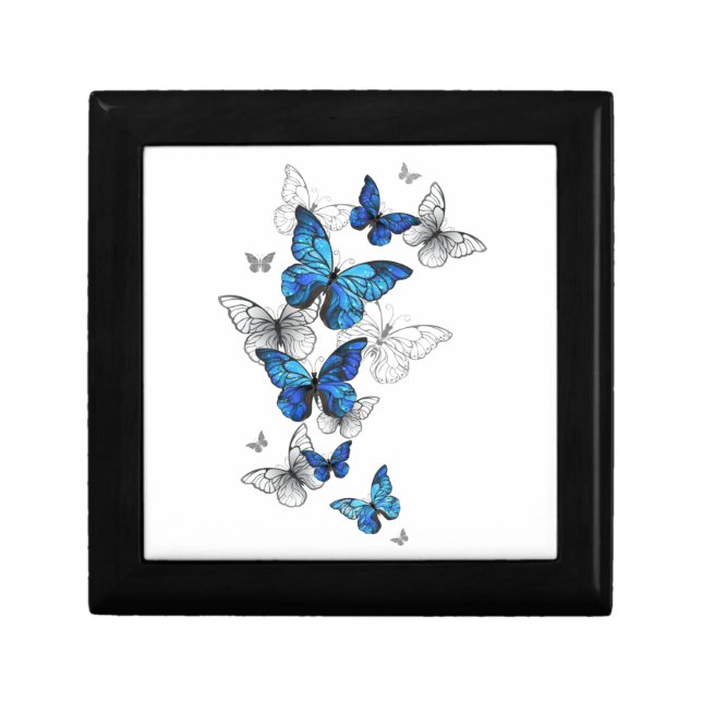 Blue Flying Butterflies Morpho Gift Box (Front)