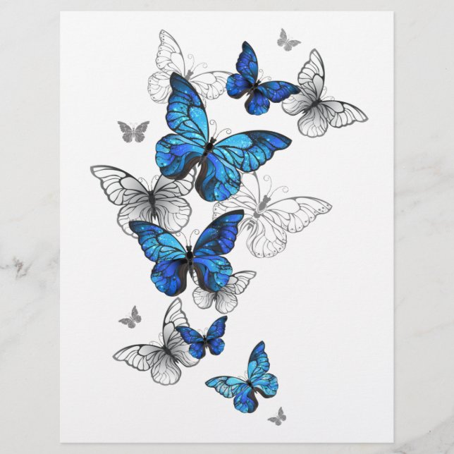 Blue Flying Butterflies Morpho Letterhead (Front)