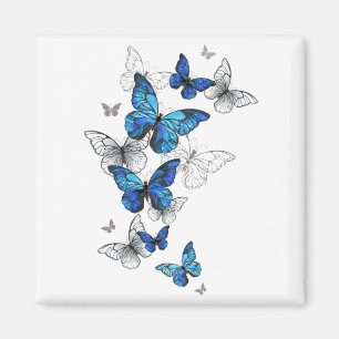 Blue Flying Butterflies Morpho Magnet