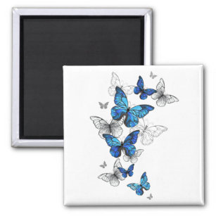 Blue Flying Butterflies Morpho Magnet