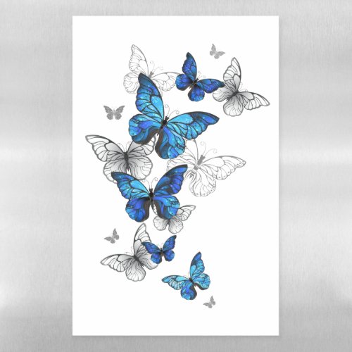 Blue Flying Butterflies Morpho Magnetic Dry Erase Sheet