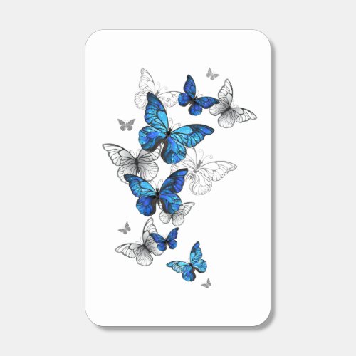 Blue Flying Butterflies Morpho Matchboxes