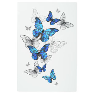 Blue Flying Butterflies Morpho Metal Print