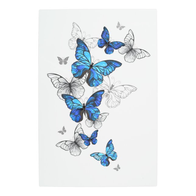 Blue Flying Butterflies Morpho Metal Print (Front)