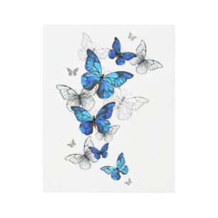 Blue Flying Butterflies Morpho Metal Print