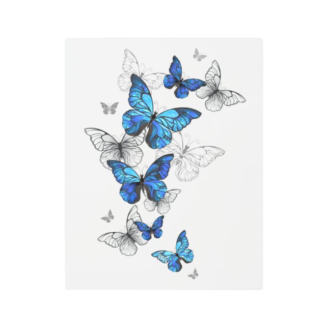 Blue Flying Butterflies Morpho Metal Print (Front)