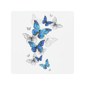 Blue Flying Butterflies Morpho Metal Print