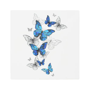 Blue Flying Butterflies Morpho Metal Print