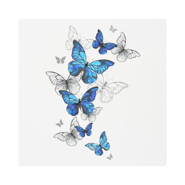 Blue Flying Butterflies Morpho Metal Print (Front)