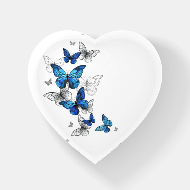 Blue Flying Butterflies Morpho Paperweight (Front)