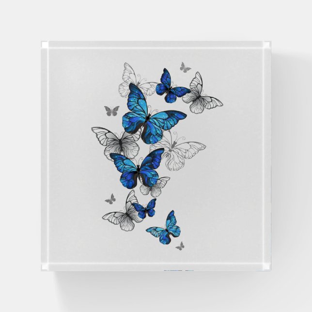 Blue Flying Butterflies Morpho Paperweight (Front)