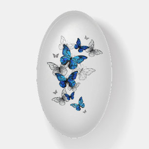 Blue Flying Butterflies Morpho Paperweight