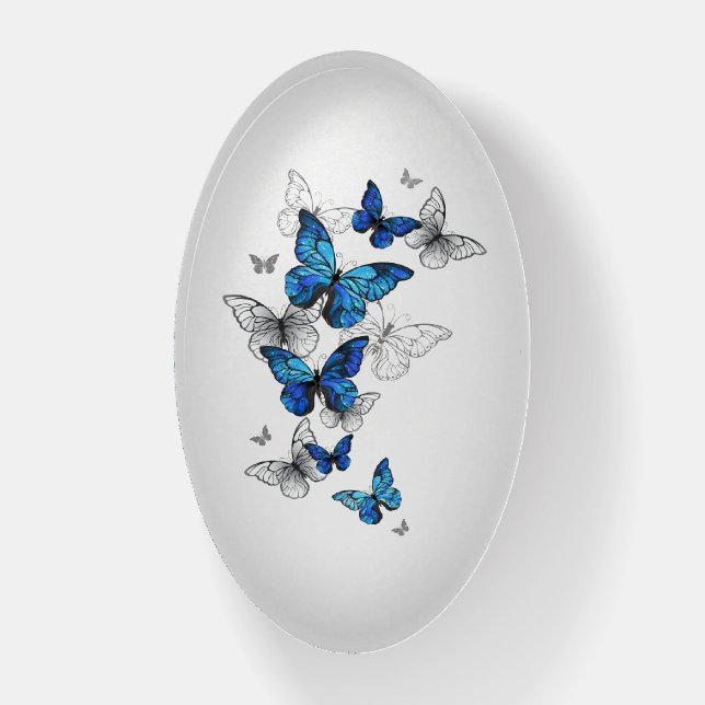 Blue Flying Butterflies Morpho Paperweight (Vertical)