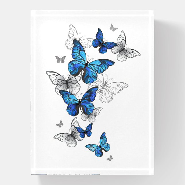 Blue Flying Butterflies Morpho Paperweight (Vertical)