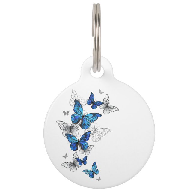 Blue Flying Butterflies Morpho Pet ID Tag (Front)