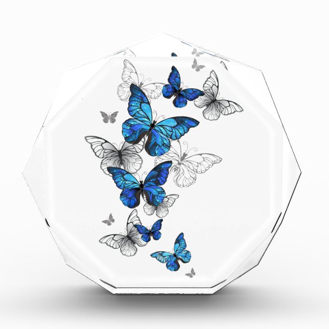 Blue Flying Butterflies Morpho Photo Block (Front)