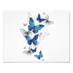 Blue Flying Butterflies Morpho Photo Print