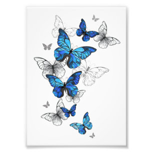 Blue Flying Butterflies Morpho Photo Print