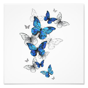 Blue Flying Butterflies Morpho Photo Print
