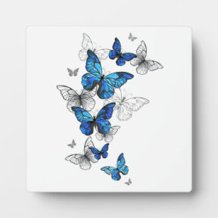 Blue Flying Butterflies Morpho Plaque