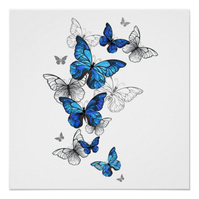 Blue Flying Butterflies Morpho Poster (Front)