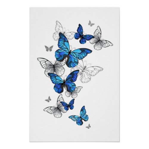 Blue Flying Butterflies Morpho Poster