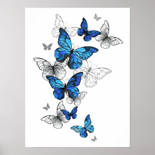 Blue Flying Butterflies Morpho Poster