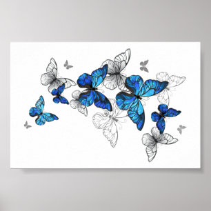 Blue Flying Butterflies Morpho Poster
