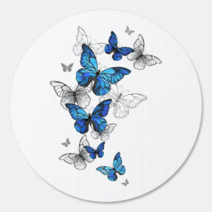 Blue Flying Butterflies Morpho Sign