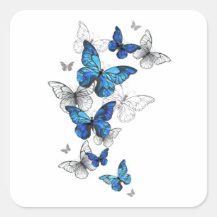 Blue Flying Butterflies Morpho Square Sticker