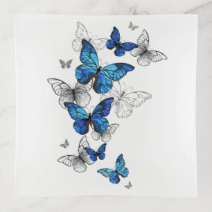 Blue Flying Butterflies Morpho Trinket Tray