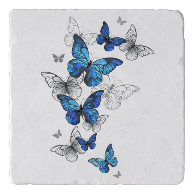 Blue Flying Butterflies Morpho Trivet (Front)