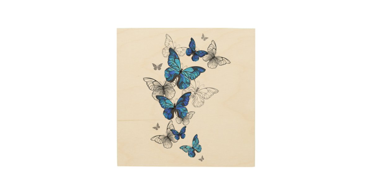 Eric Carle Rainbow Butterfly Art Print on Premium Canvas