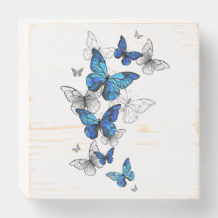 Blue Flying Butterflies Morpho Wooden Box Sign