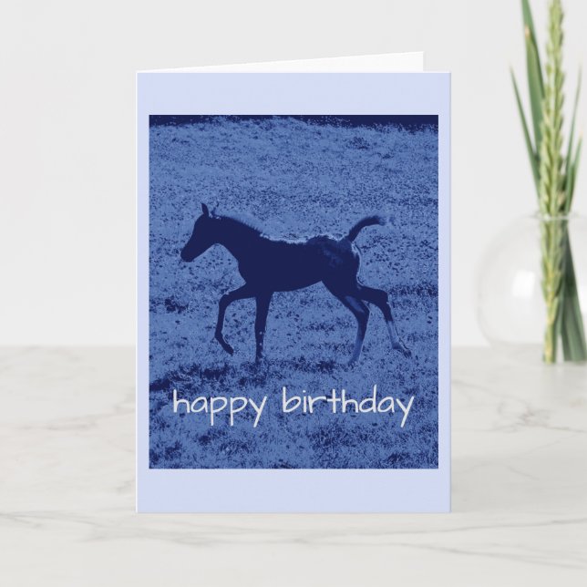 Blue foal Birthday Card (Front)