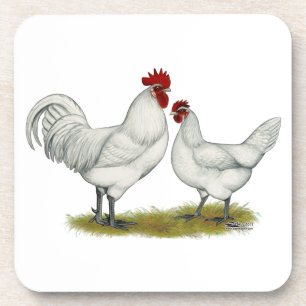 Blue Foot Chickens Beverage Coaster