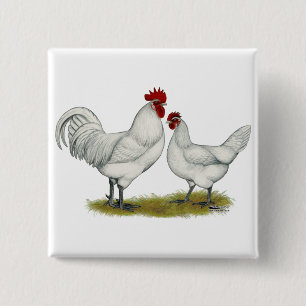 Blue Foot Chickens Pinback Button
