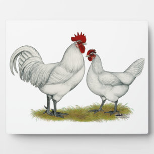 Blue Foot Chickens Plaque